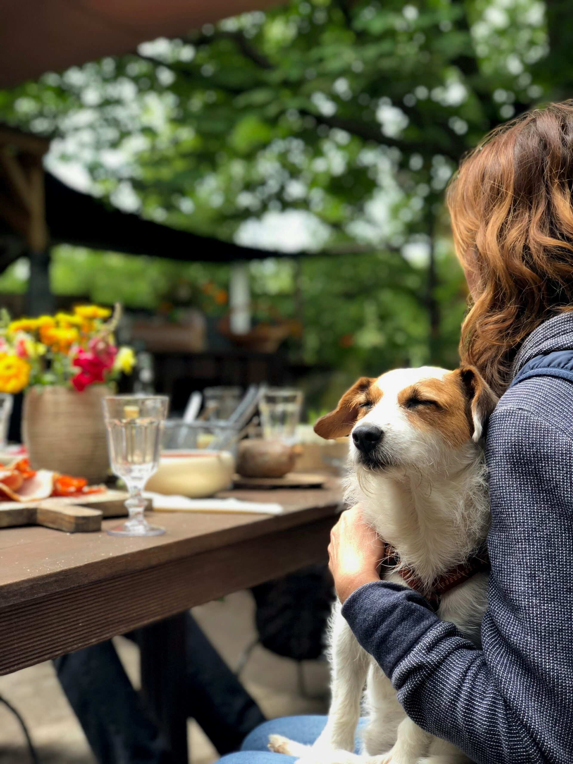 Dog friendly places for lunch near me best sale